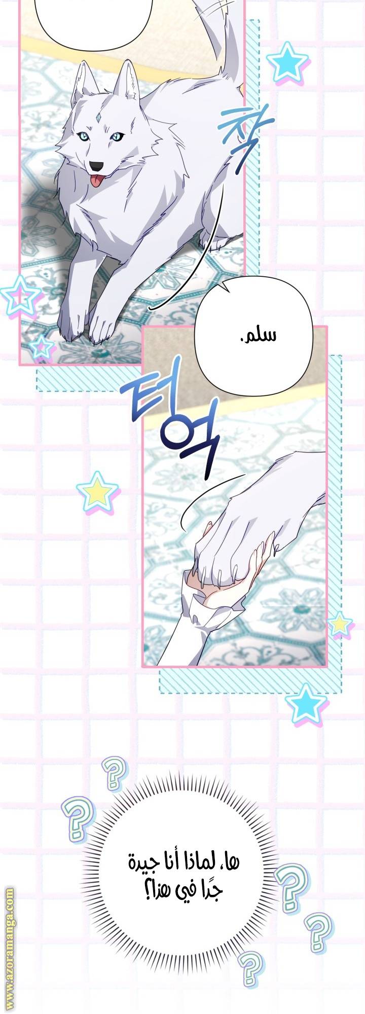 الصفحة 16