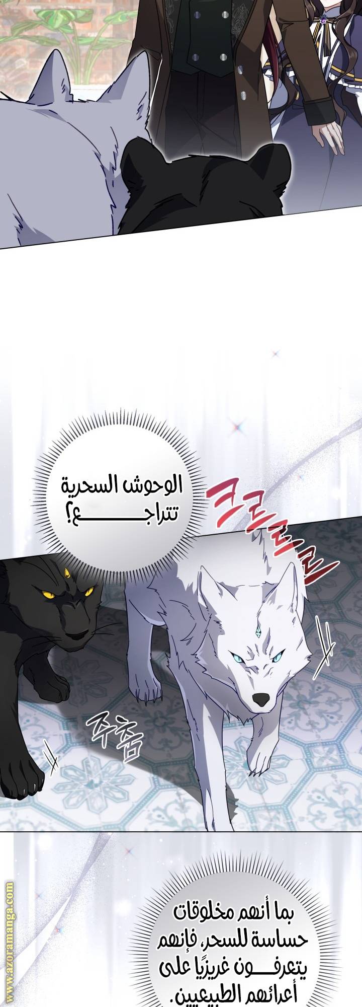 الصفحة 20