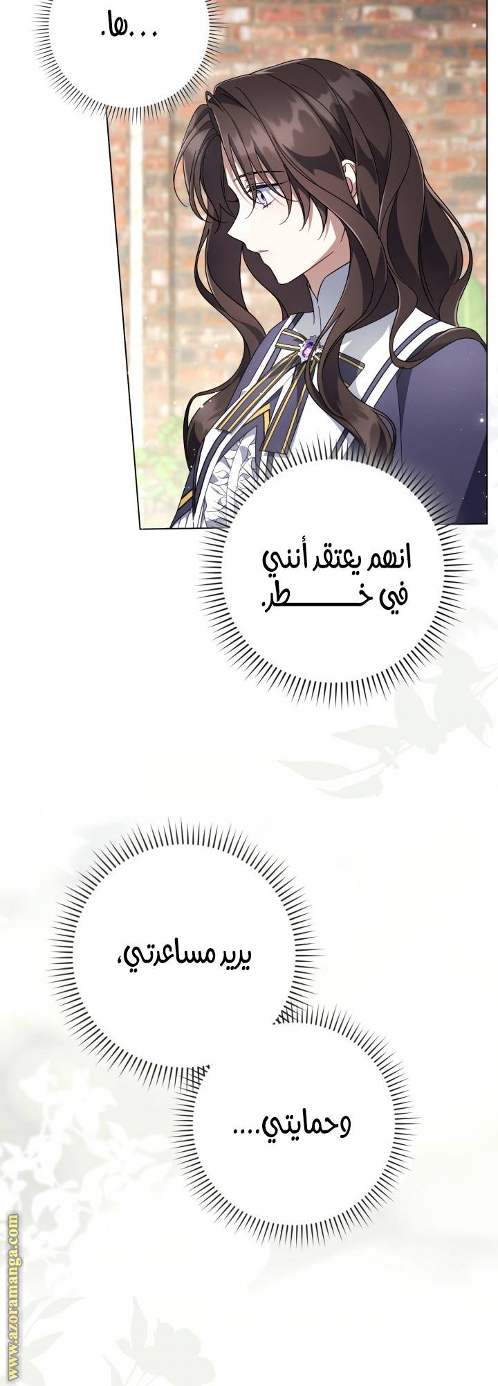 الصفحة 29