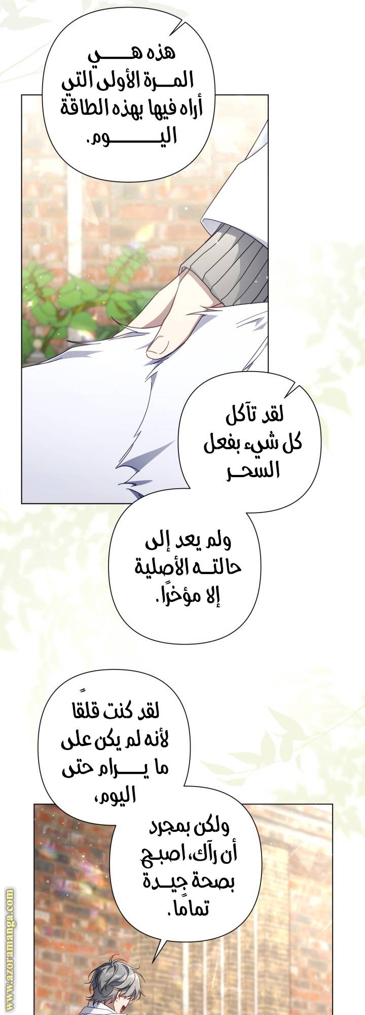 الصفحة 30