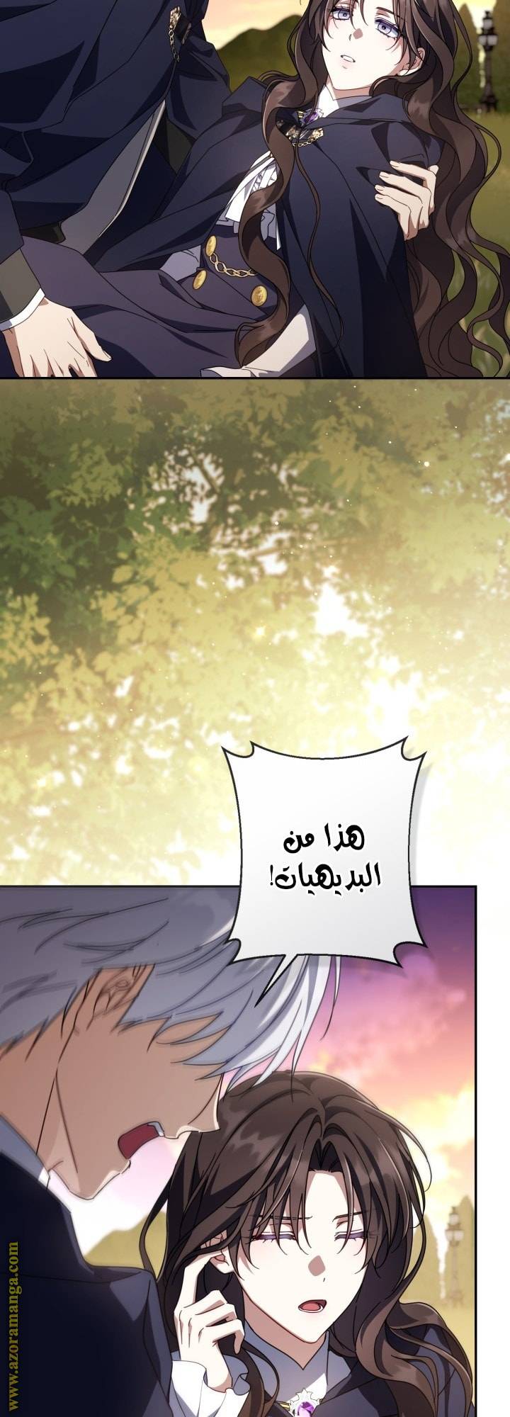الصفحة 11