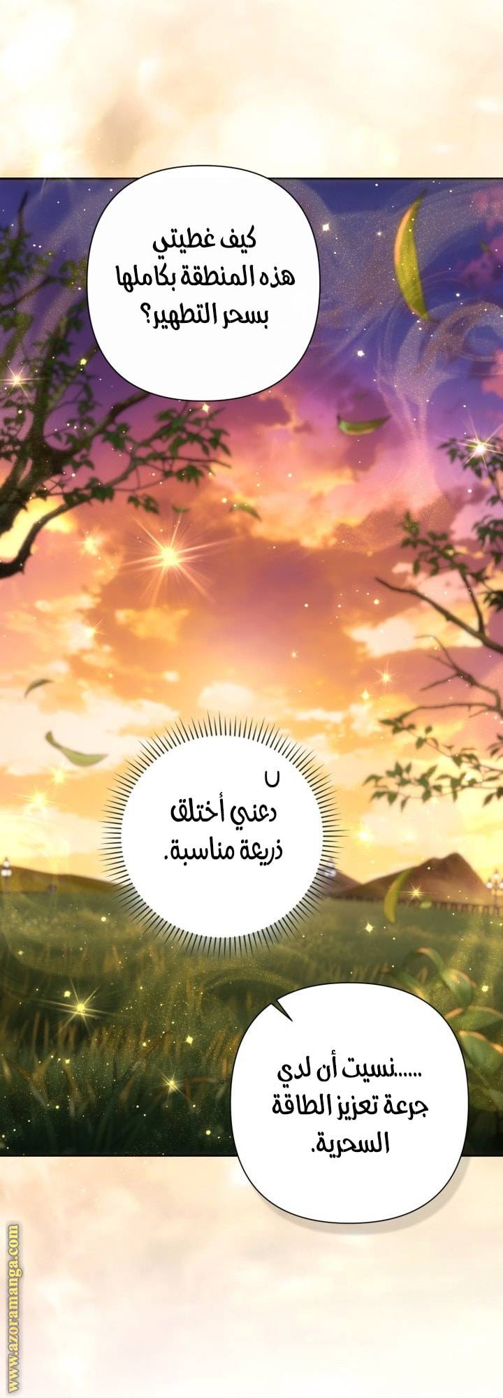 الصفحة 17