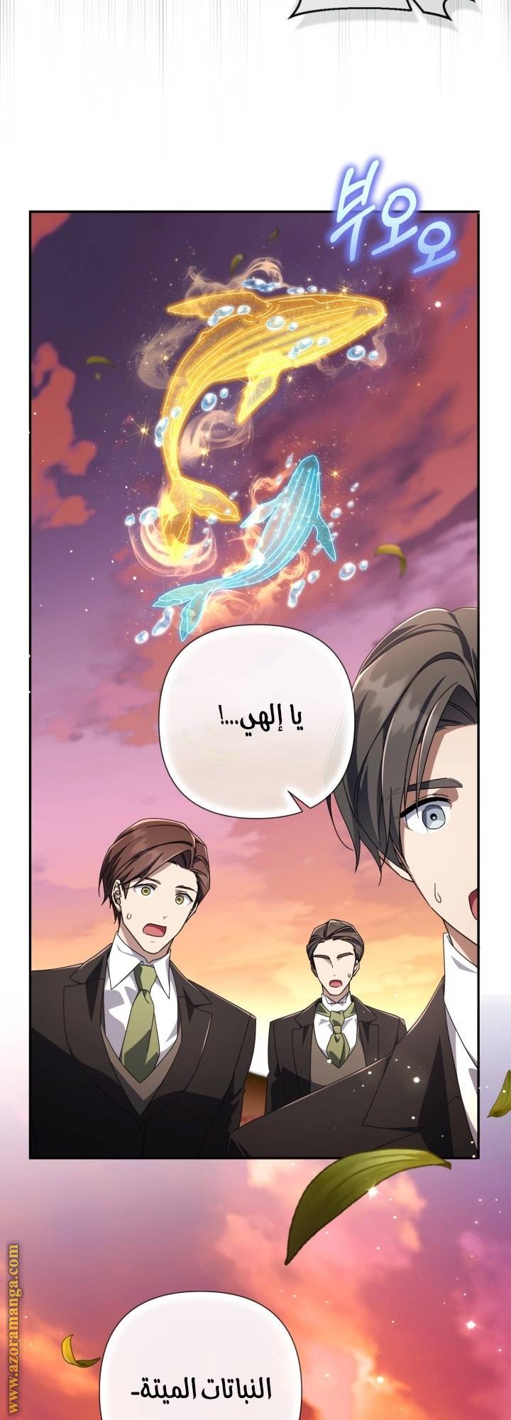 الصفحة 24