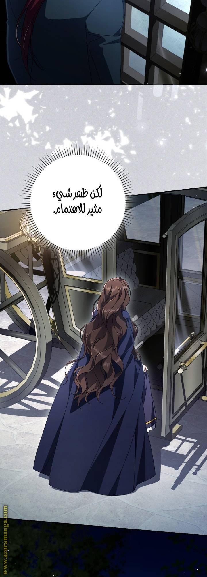 الصفحة 41