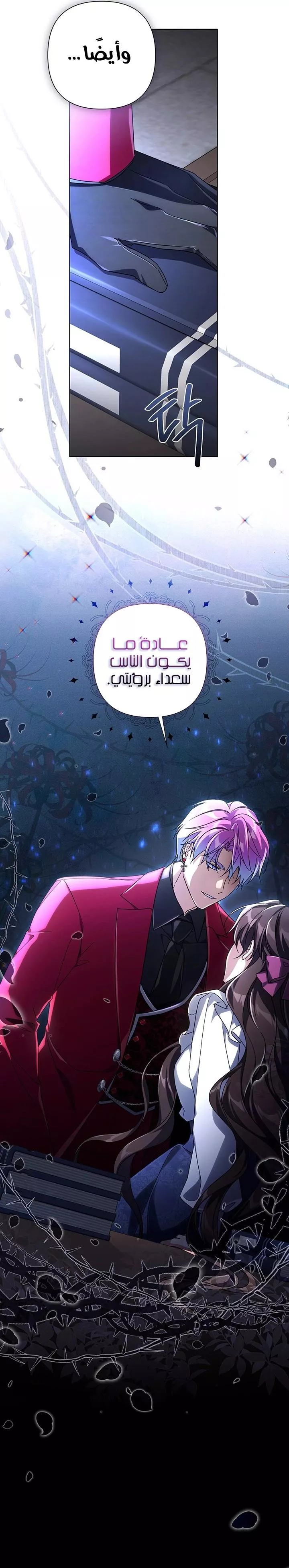 الصفحة 13