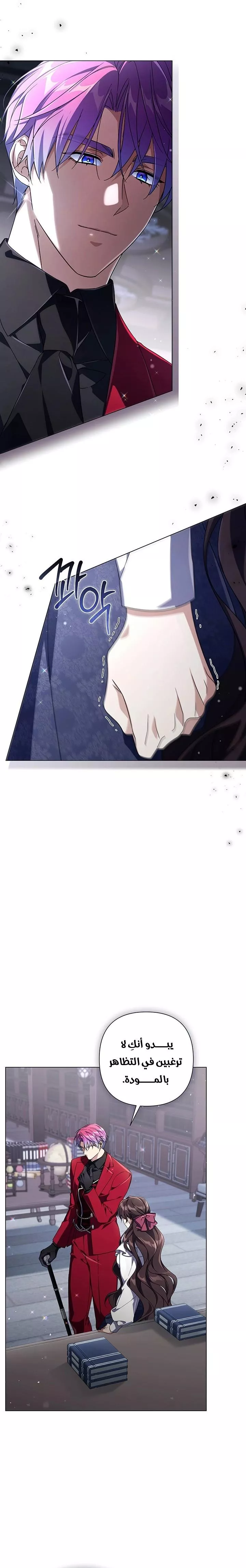الصفحة 17