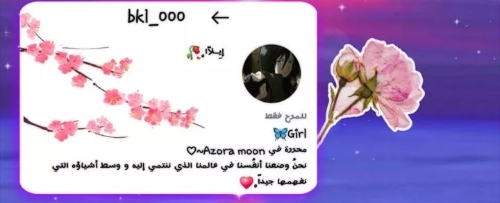 الصفحة 31