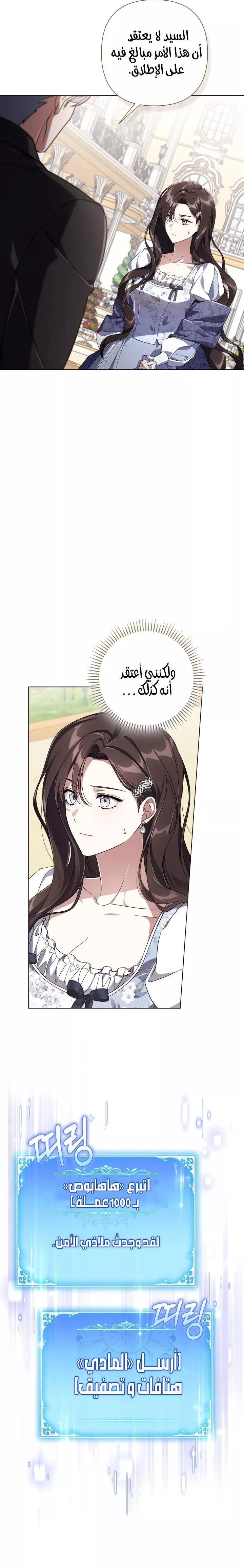 الصفحة 17