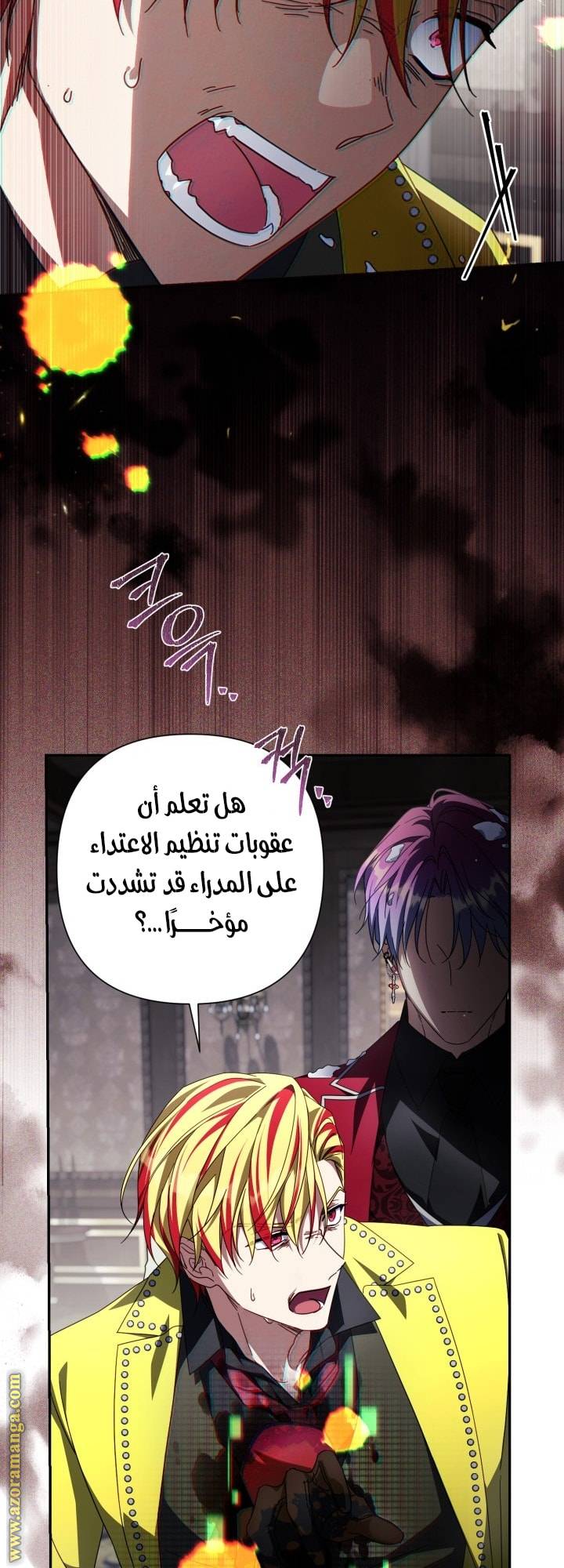 الصفحة 14