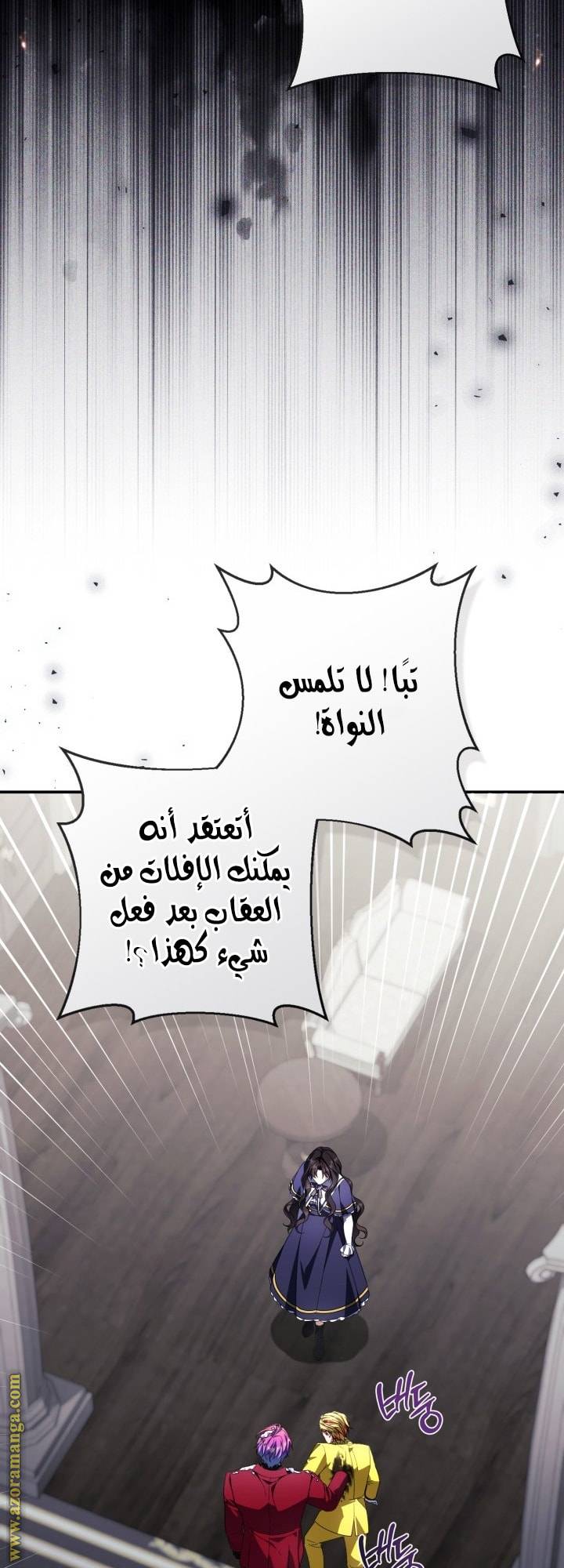 الصفحة 17