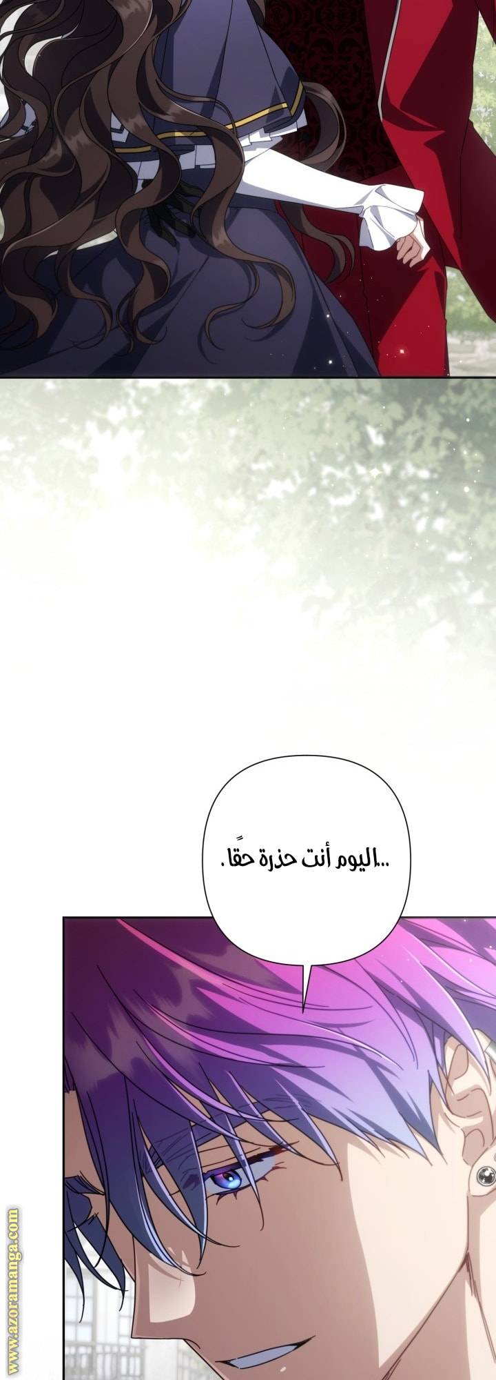 الصفحة 43