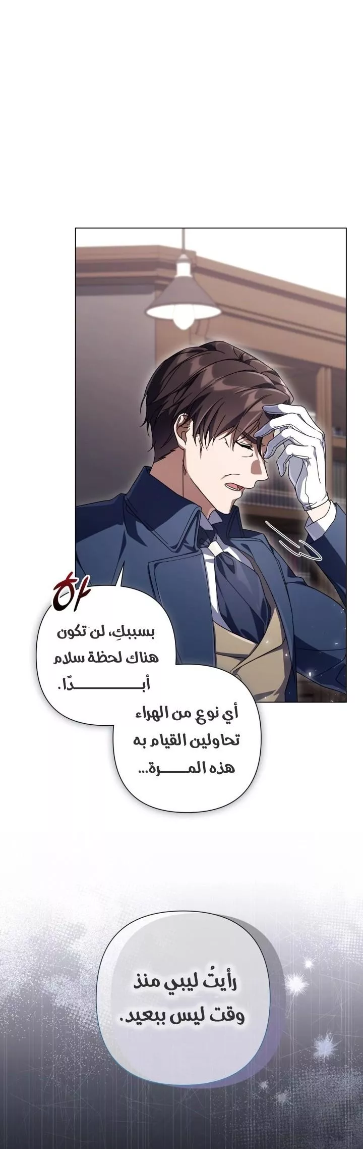 الصفحة 29