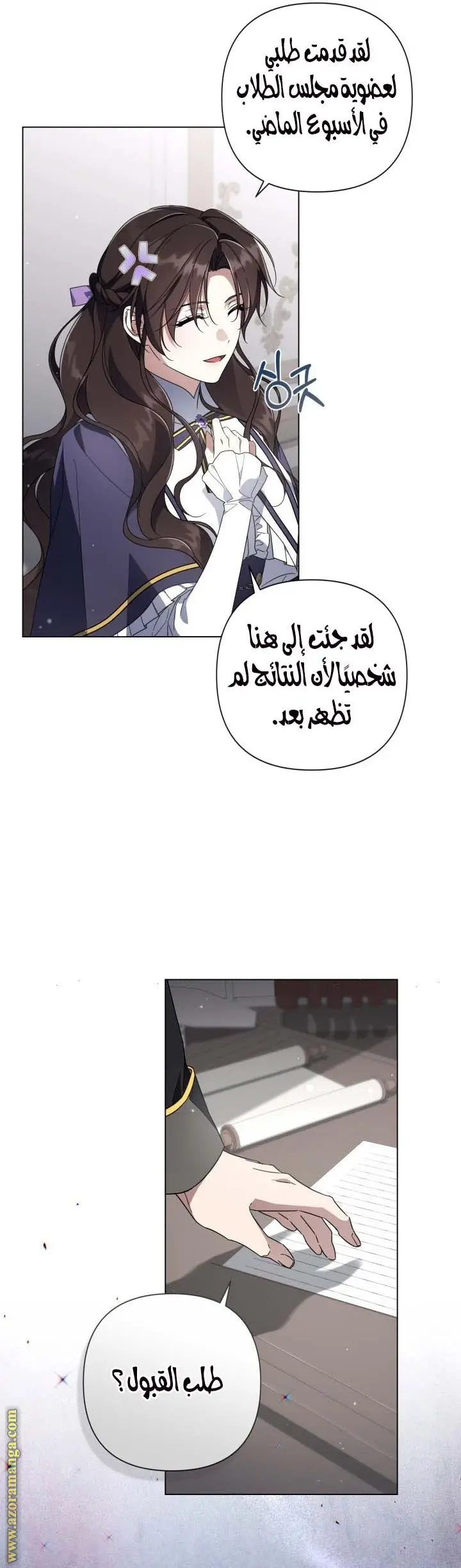 الصفحة 17