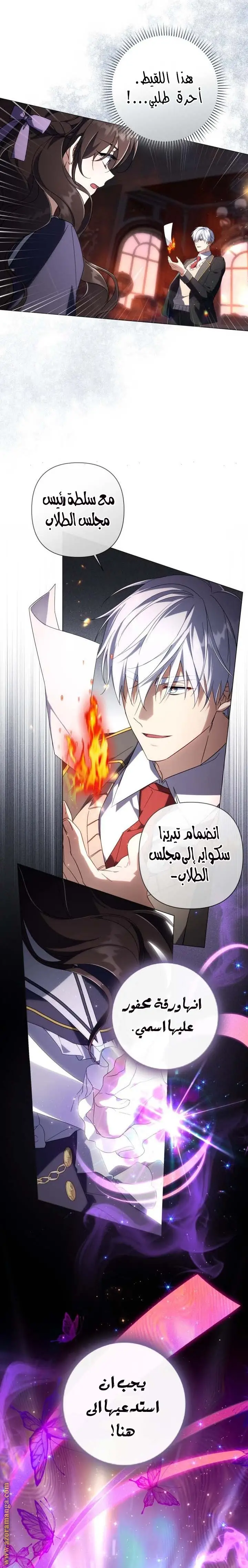 الصفحة 19