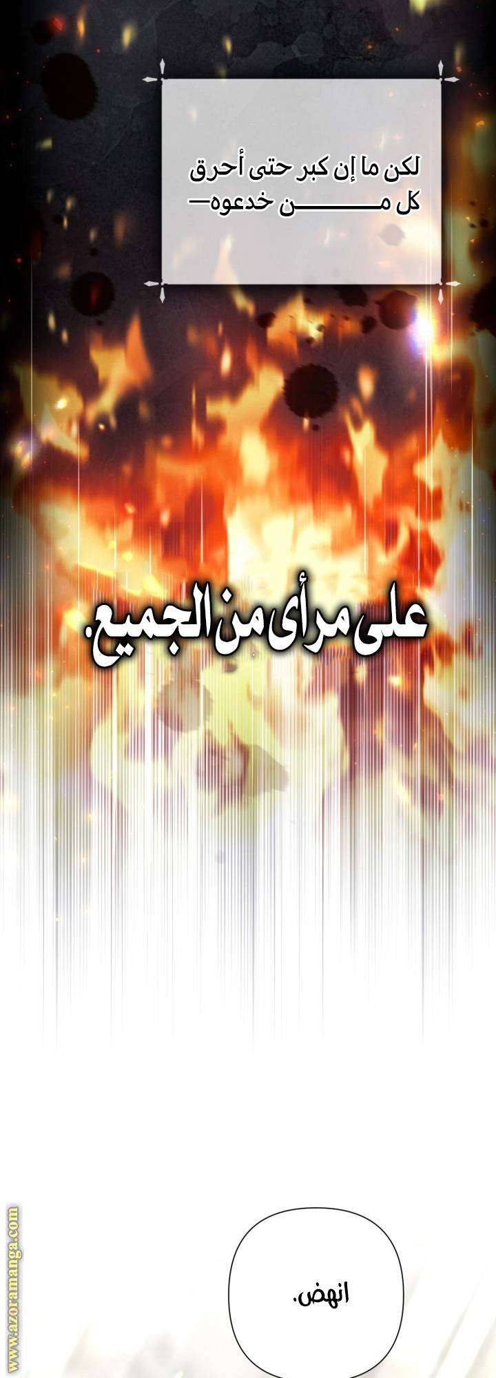 الصفحة 12