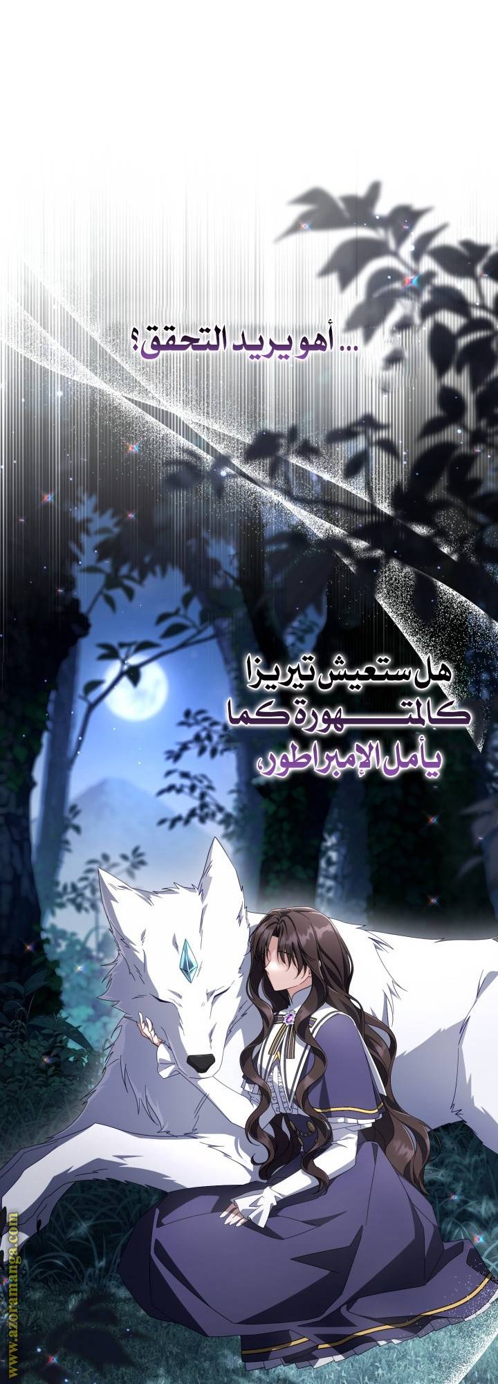 الصفحة 17