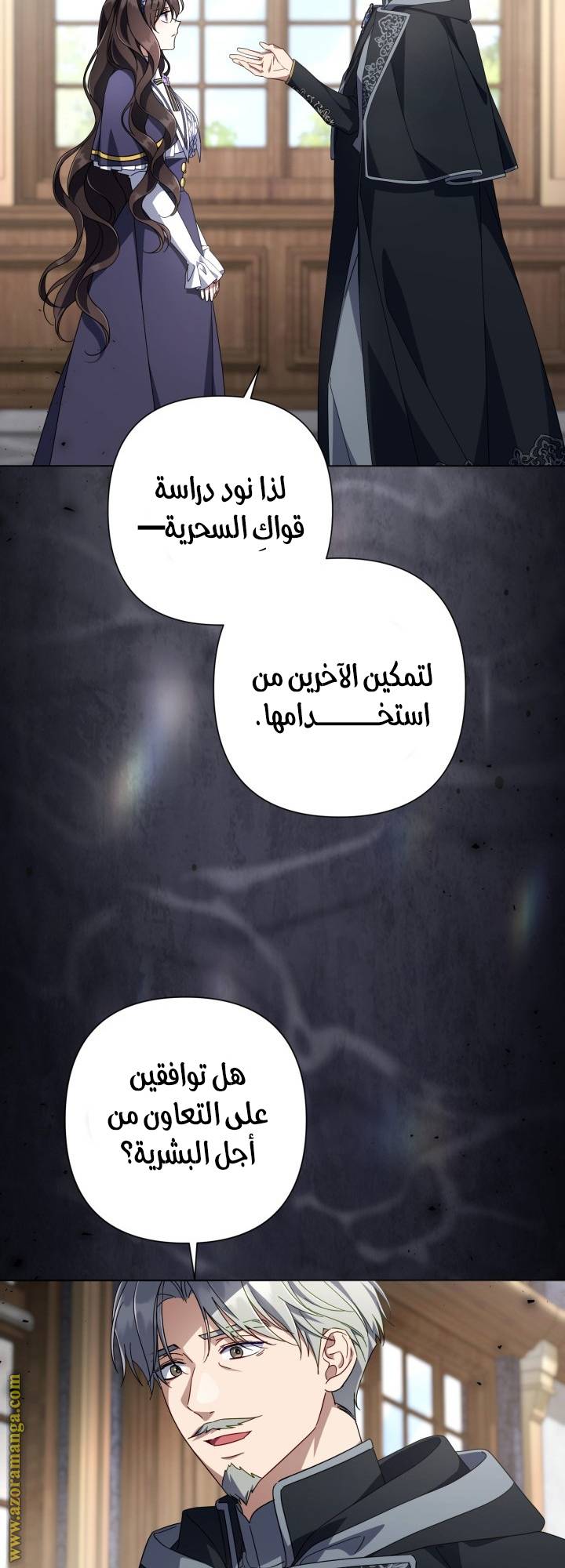 الصفحة 25