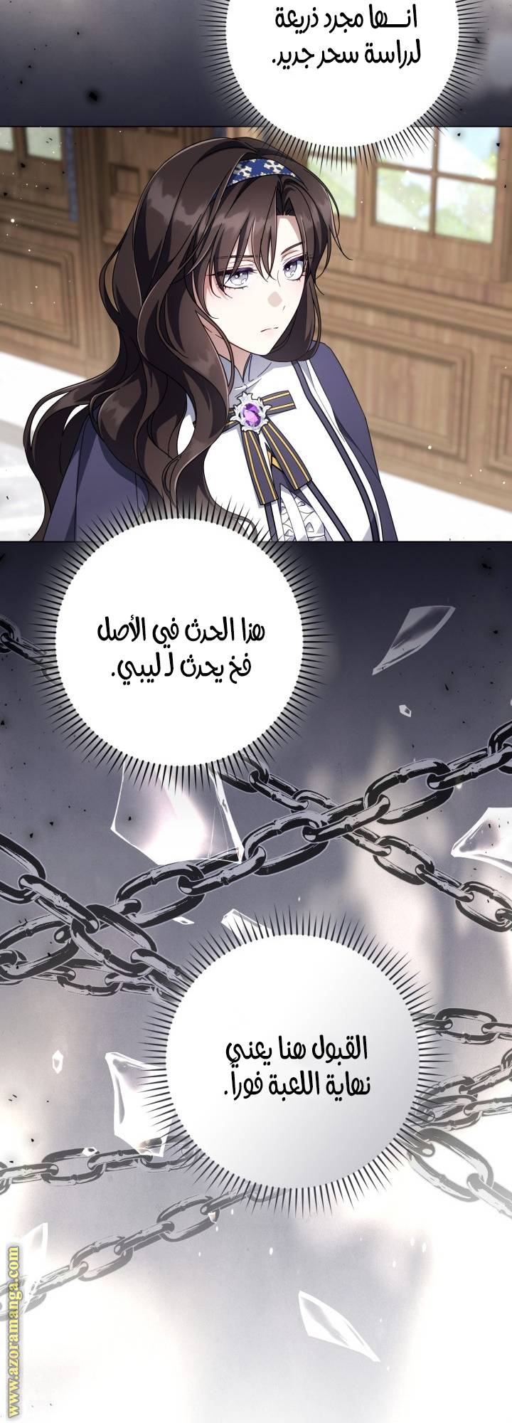 الصفحة 27