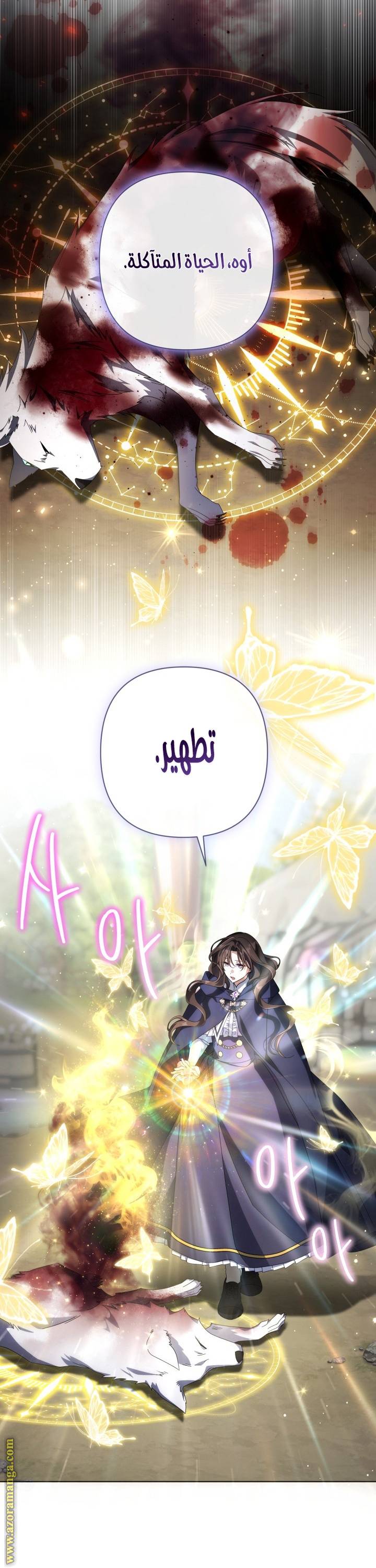 الصفحة 12