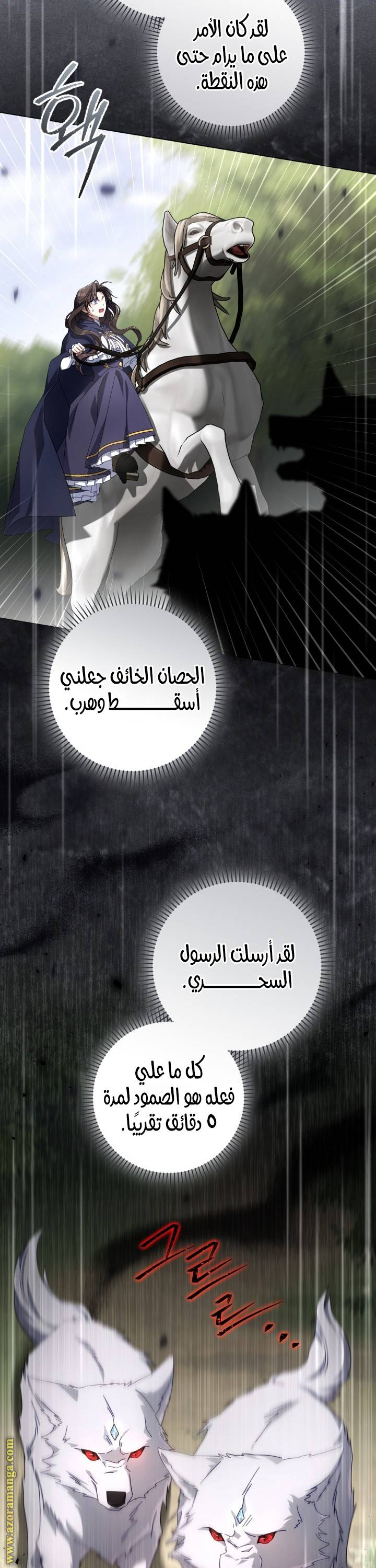 الصفحة 22
