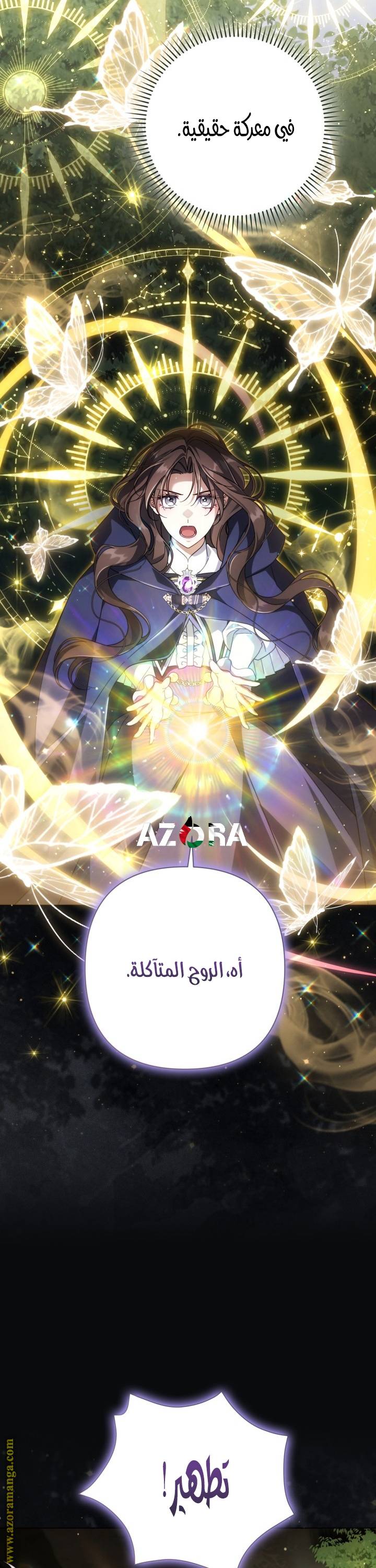 الصفحة 24