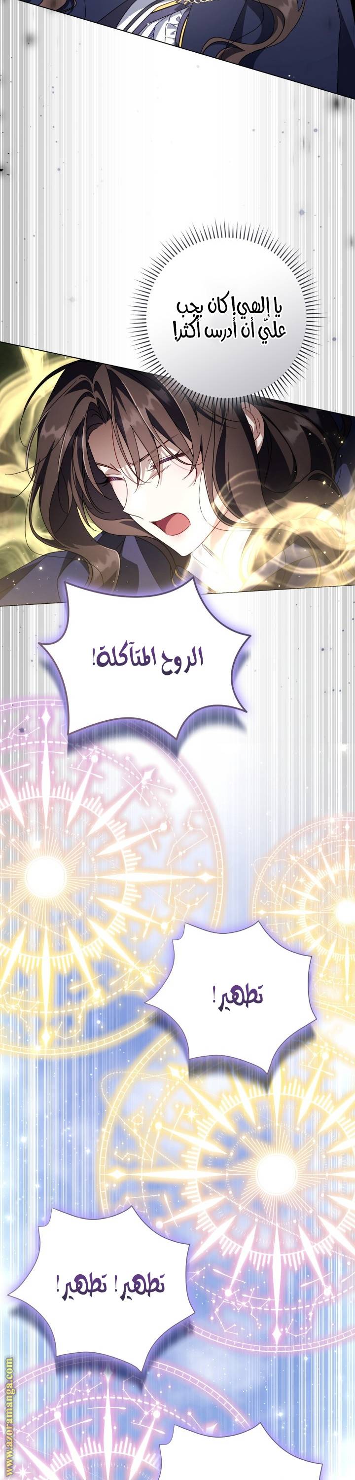 الصفحة 26