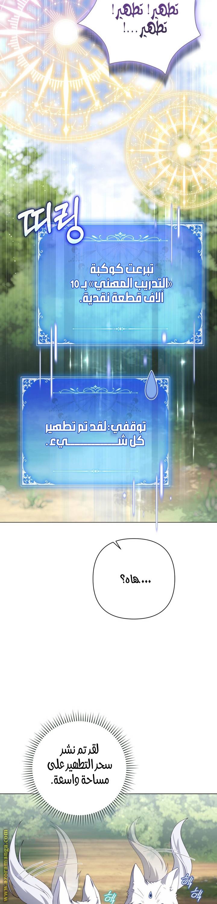 الصفحة 27