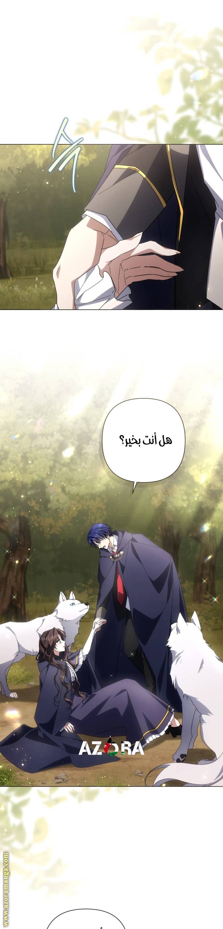الصفحة 38
