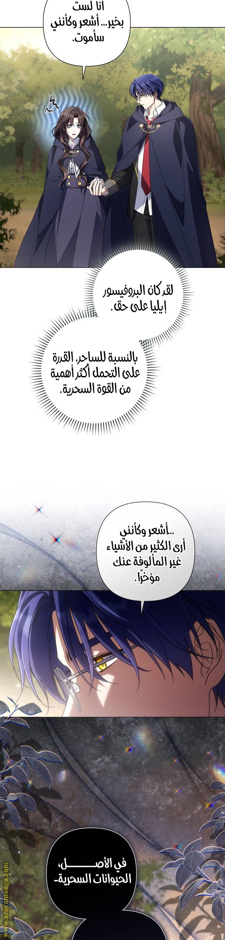 الصفحة 39