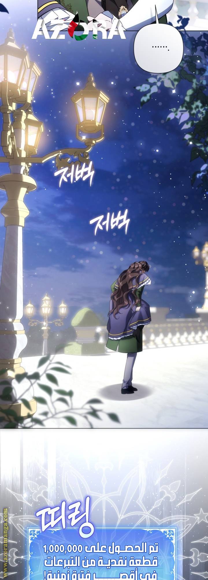 الصفحة 17