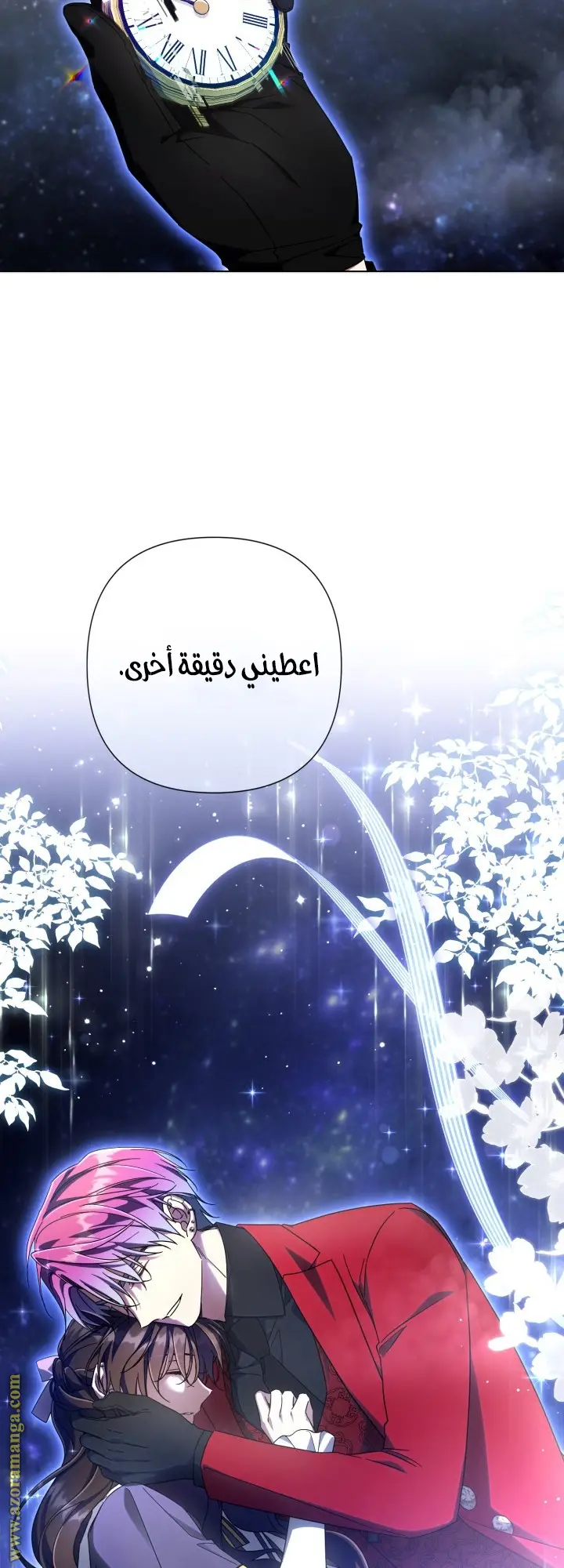 الصفحة 27