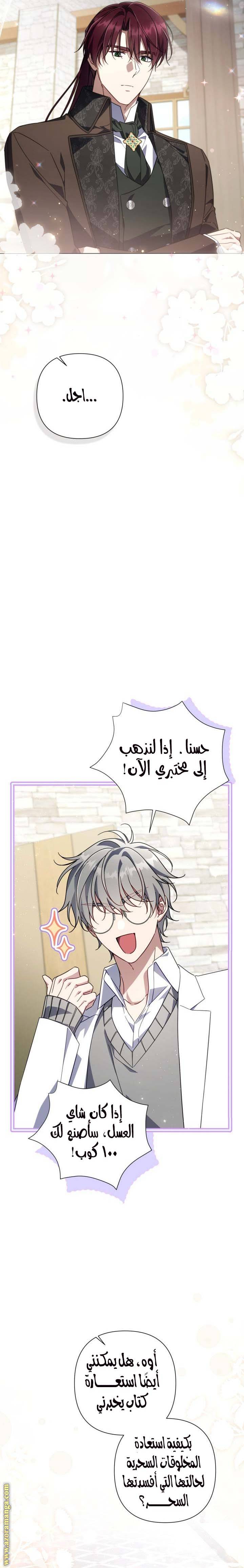 الصفحة 19