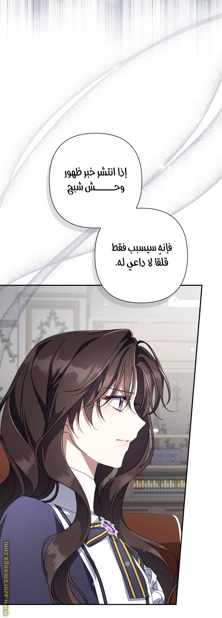 الصفحة 29