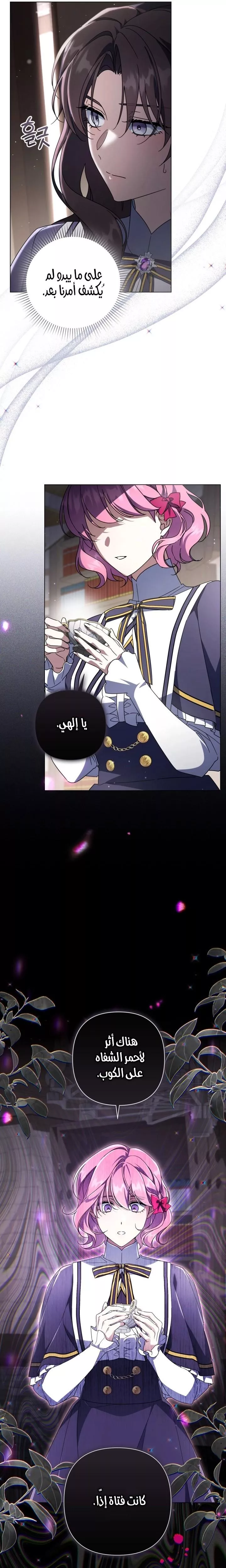 الصفحة 16