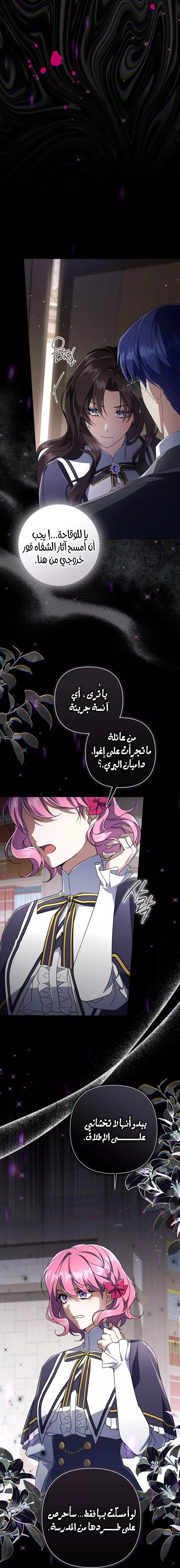 الصفحة 17