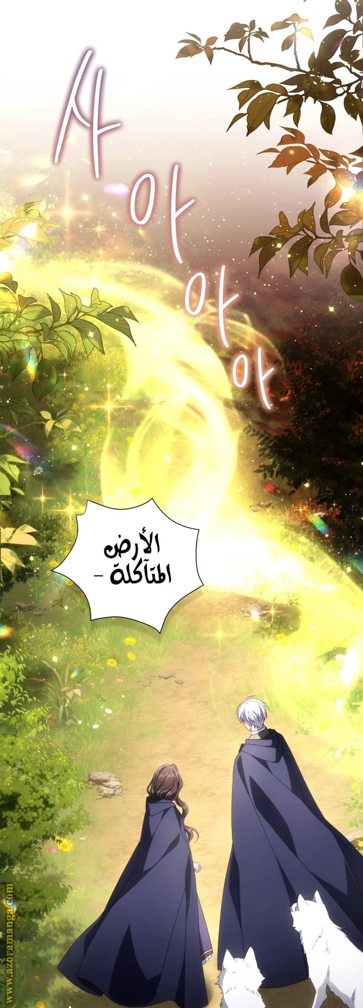 الصفحة 19