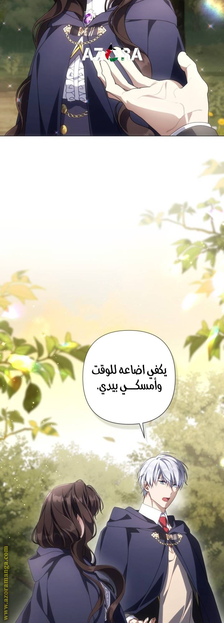 الصفحة 25