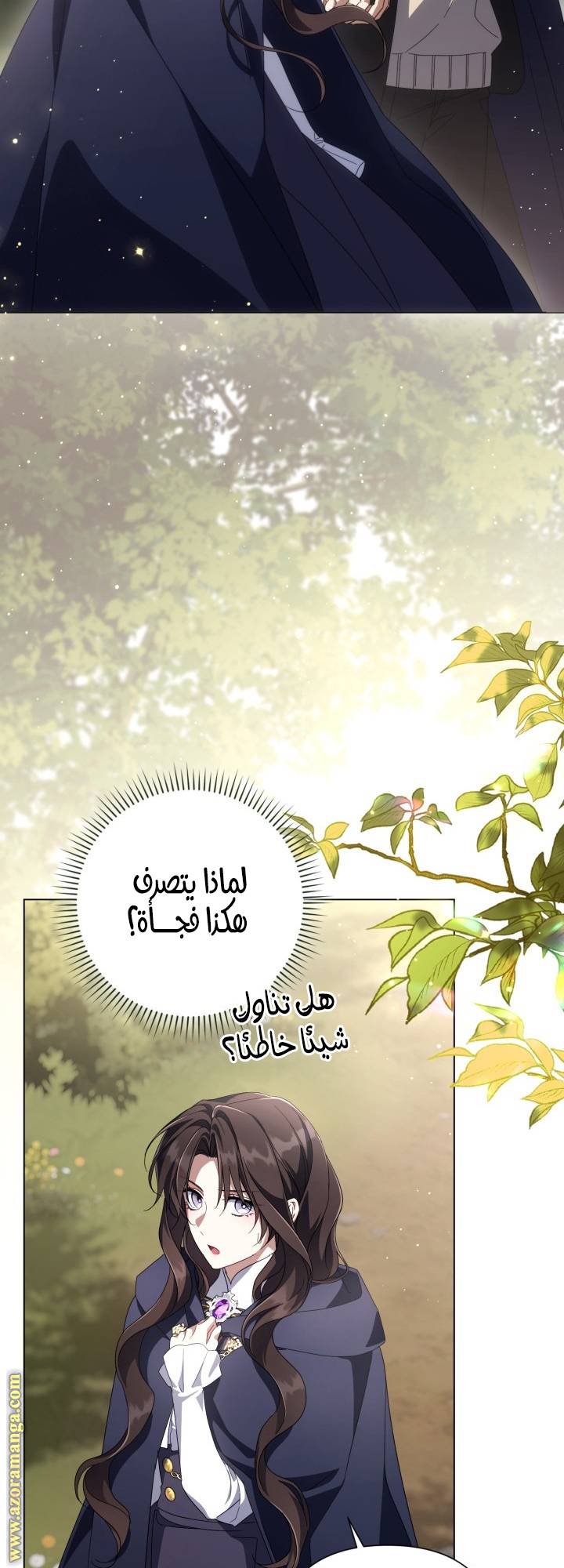الصفحة 26