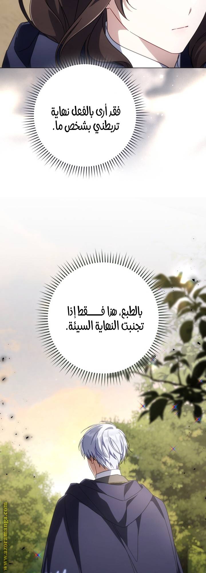 الصفحة 47