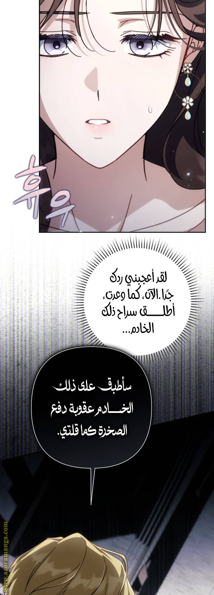 الصفحة 25