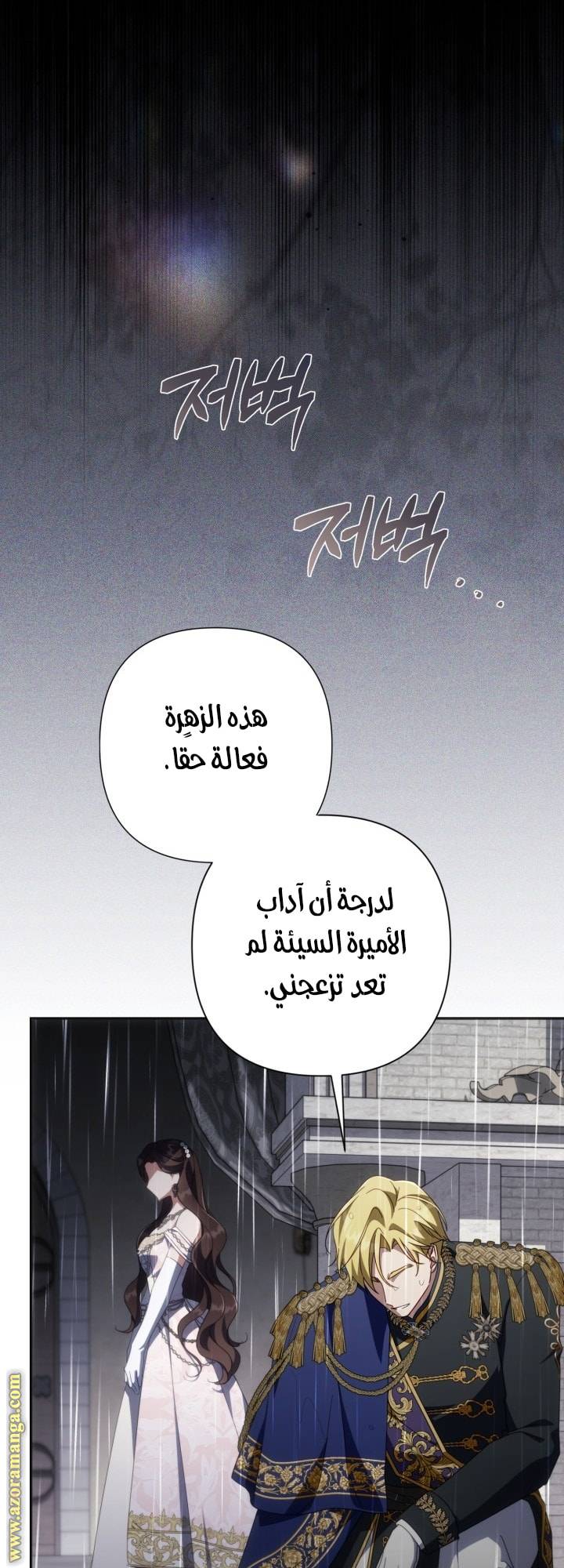 الصفحة 31