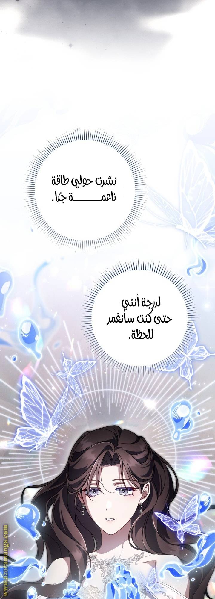 الصفحة 48