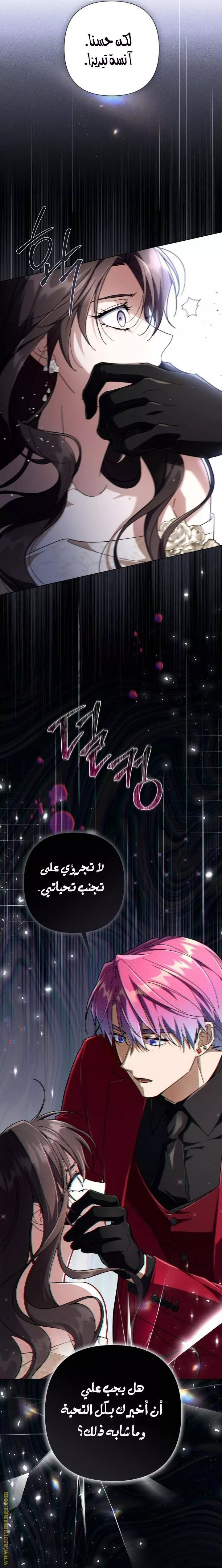 الصفحة 25