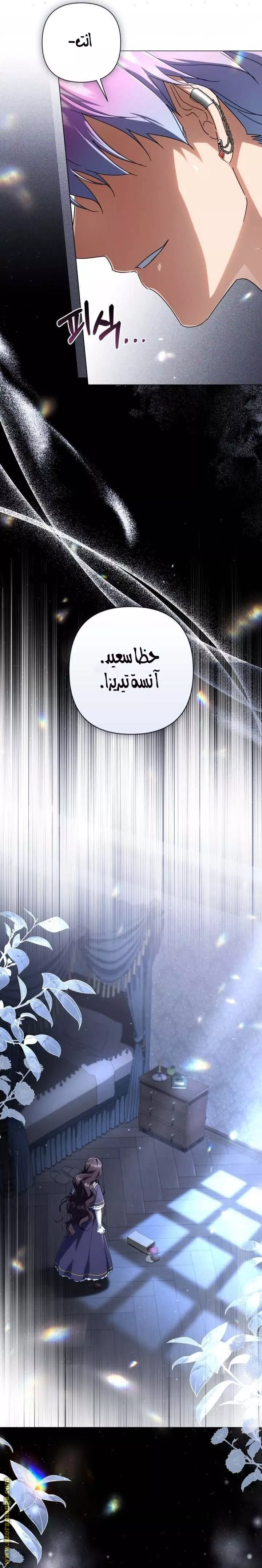 الصفحة 27
