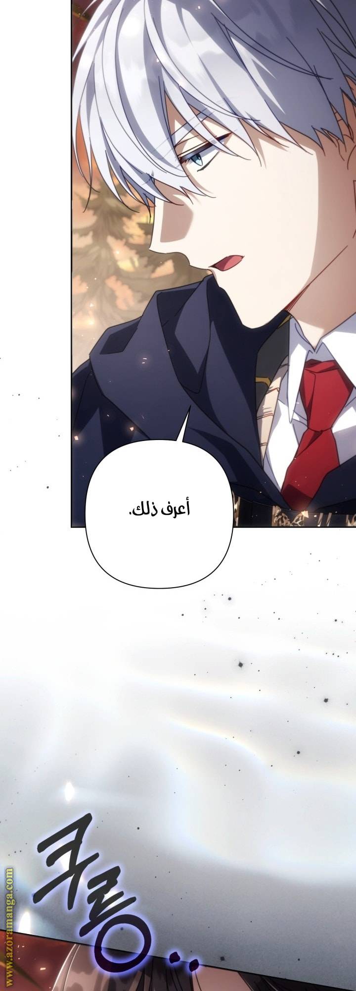 الصفحة 25