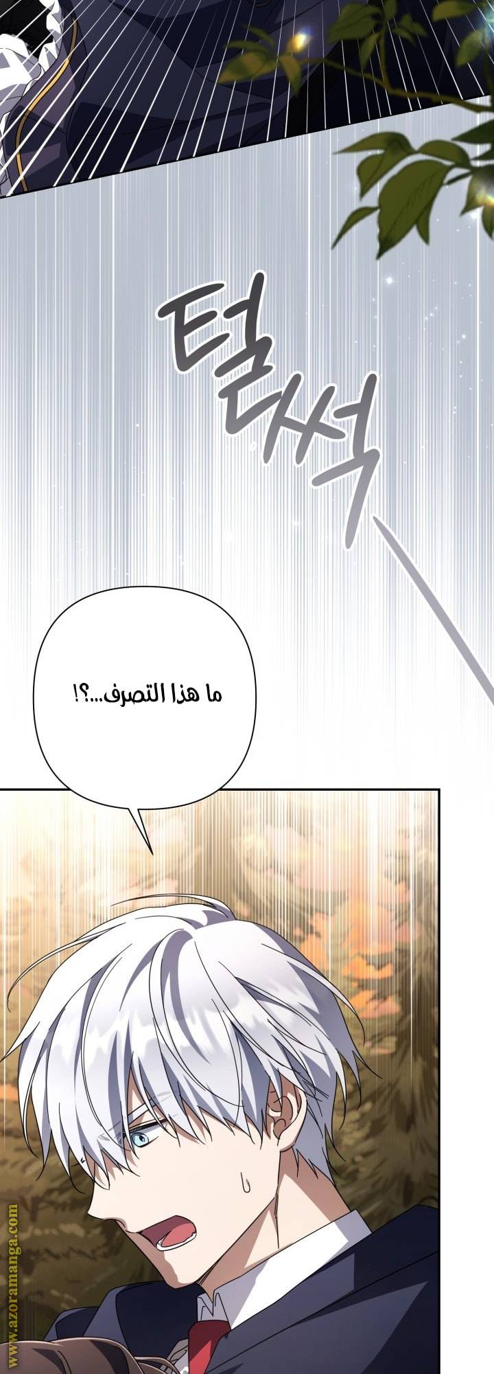 الصفحة 28