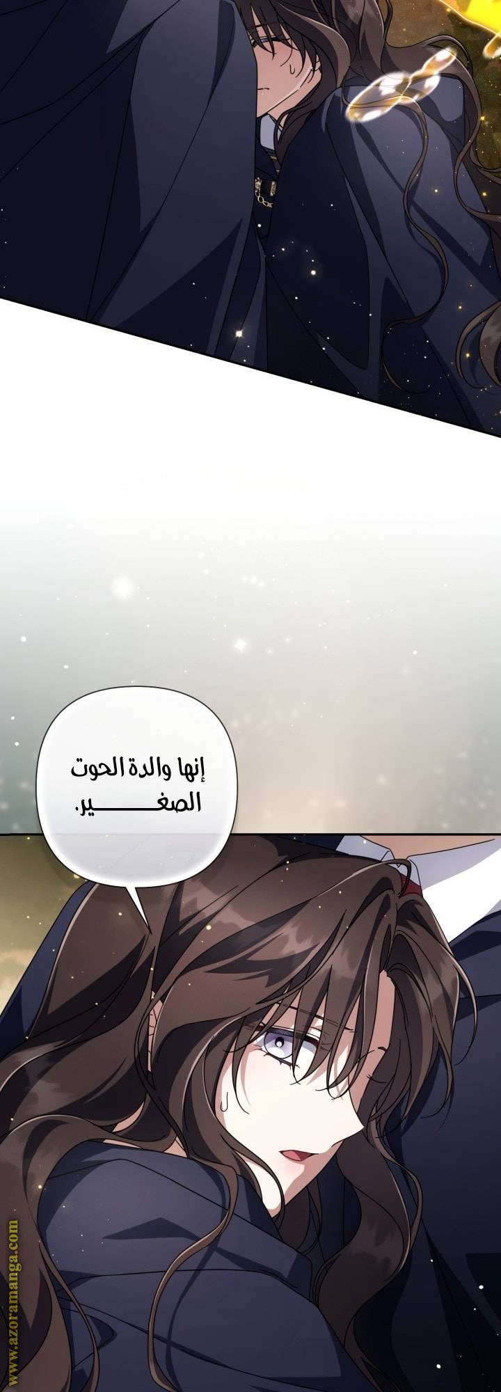 الصفحة 31