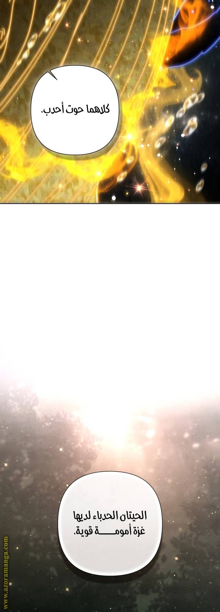 الصفحة 33