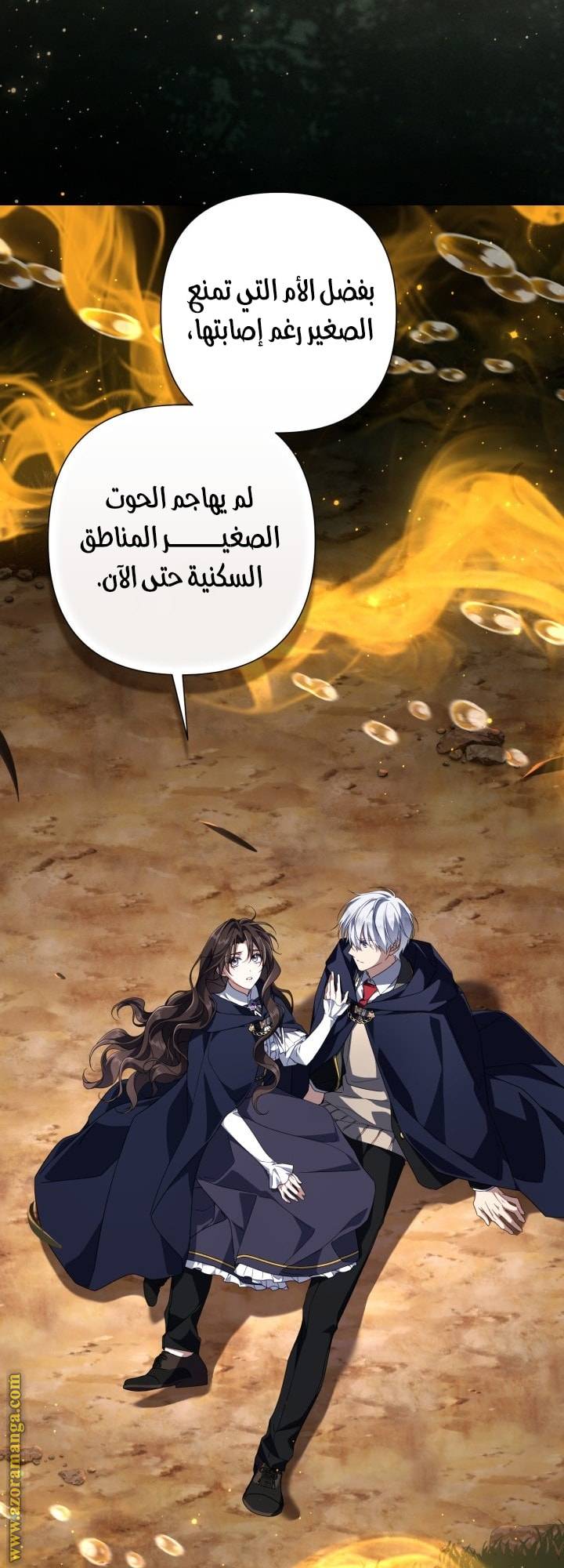 الصفحة 34