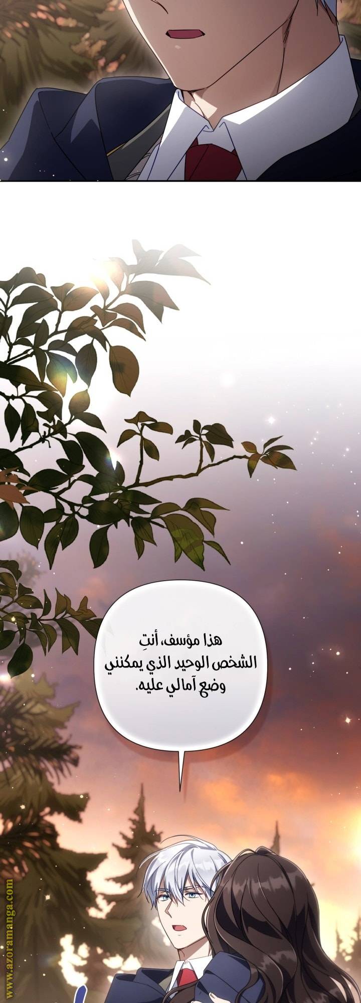 الصفحة 40